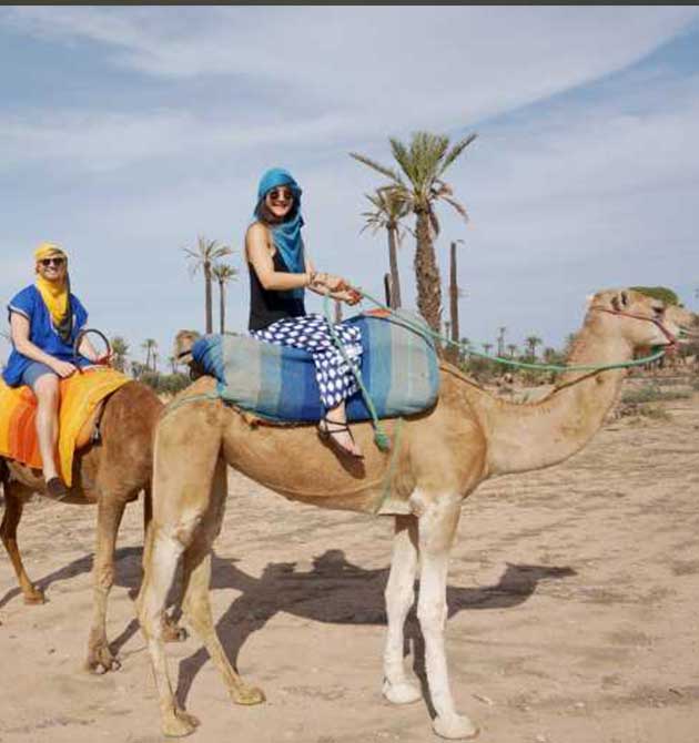 camel-ride-2