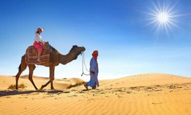 From Agadir: Camel Ride and Flamingo Trek